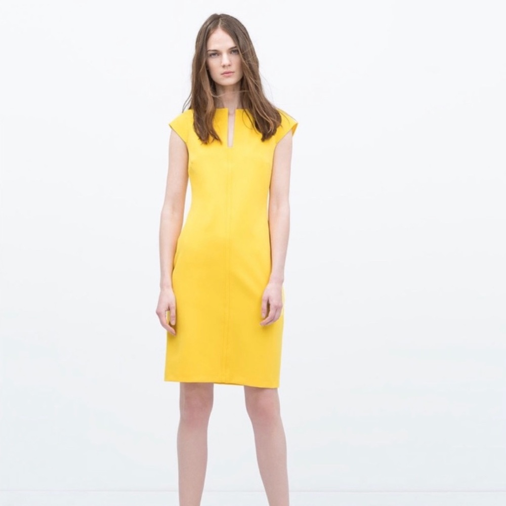 NWT Zara Pencil Skirt Dress